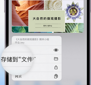 达尔罕茂明安联合apple维修中心分享iPhone文件应用中存储和找到下载文件