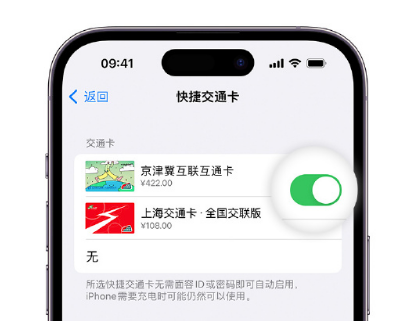 达尔罕茂明安联合apple维修点分享iPhone上更换Apple Pay快捷交通卡手绘卡面 