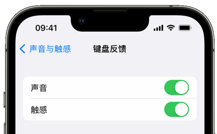 达尔罕茂明安联合苹果手机维修分享iPhone 14触感键盘使用方法 