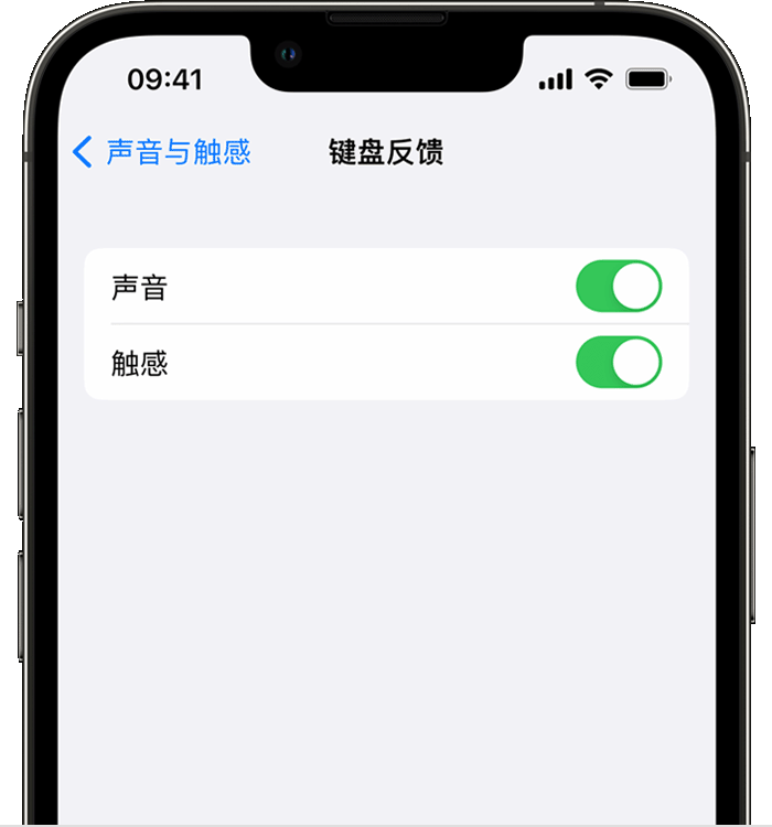 达尔罕茂明安联合苹果14维修店分享如何在 iPhone 14 机型中使用触感键盘 