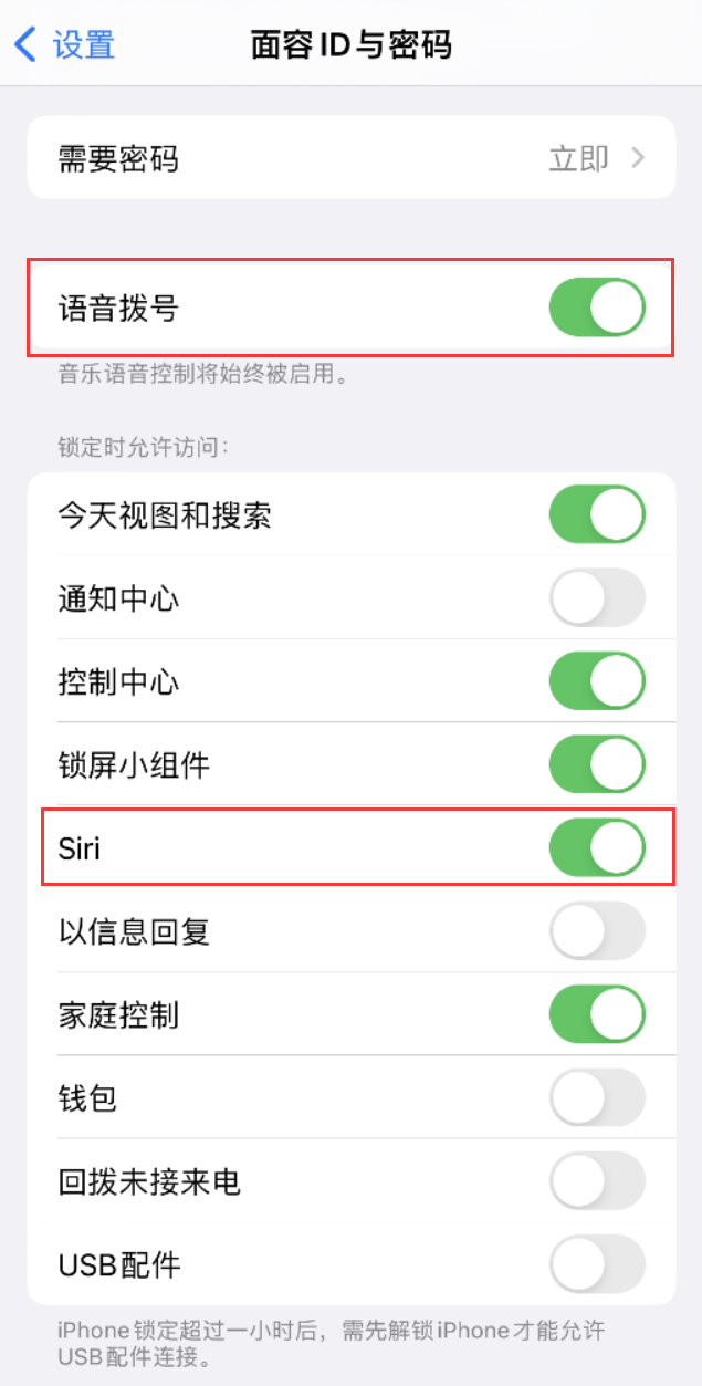 达尔罕茂明安联合苹果维修网点分享不解锁 iPhone 的情况下通过 Siri 拨打电话的方法 