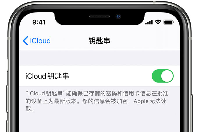 达尔罕茂明安联合苹果手机维修分享在 iPhone 上开启 iCloud 钥匙串之后会储存哪些信息 