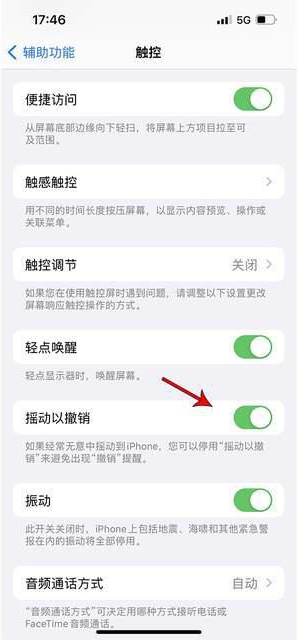 达尔罕茂明安联合苹果手机维修分享iPhone手机如何设置摇一摇删除文字 