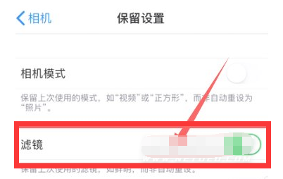 达尔罕茂明安联合苹果13维修分享iPhone13拍照有绿点是怎么回事 