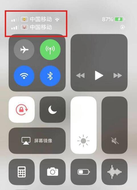 达尔罕茂明安联合苹果手机维修分享为 iPhone 12 双卡设置标签 